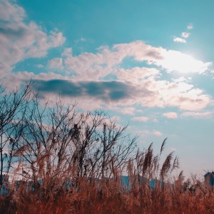 Listen to 香膏的玉瓶 (完整版) song with lyrics from 旭光