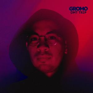 Gromo的專輯DMT Trip (feat. Lord Jah-Monte Ogbon) (Explicit)