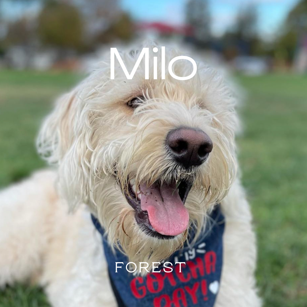 Milo