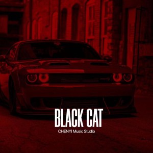 Album Black Cat from Dark