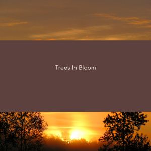 Deep Walls的專輯Trees in Bloom