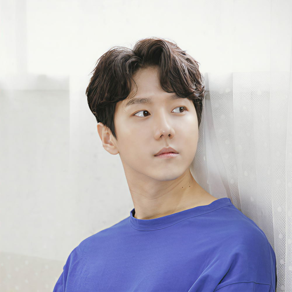 정권정