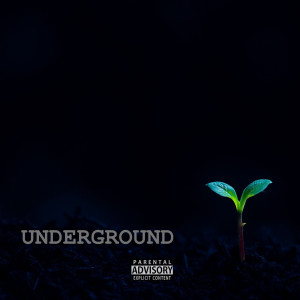 Risky的專輯Underground (Explicit)