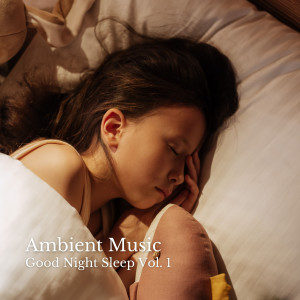 Soft Music的專輯Ambient Music: Good Night Sleep Vol. 1