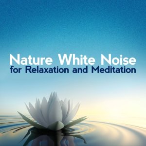 收聽Nature White Noise for Relaxation and Meditation的White Noise: White Noise歌詞歌曲