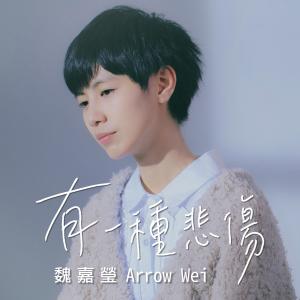 收听魏嘉莹的有一种悲伤歌词歌曲