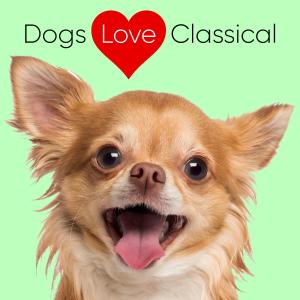 Dogs Love Classical的專輯Classical for Dogs: Mendelssohn Songs Without Words