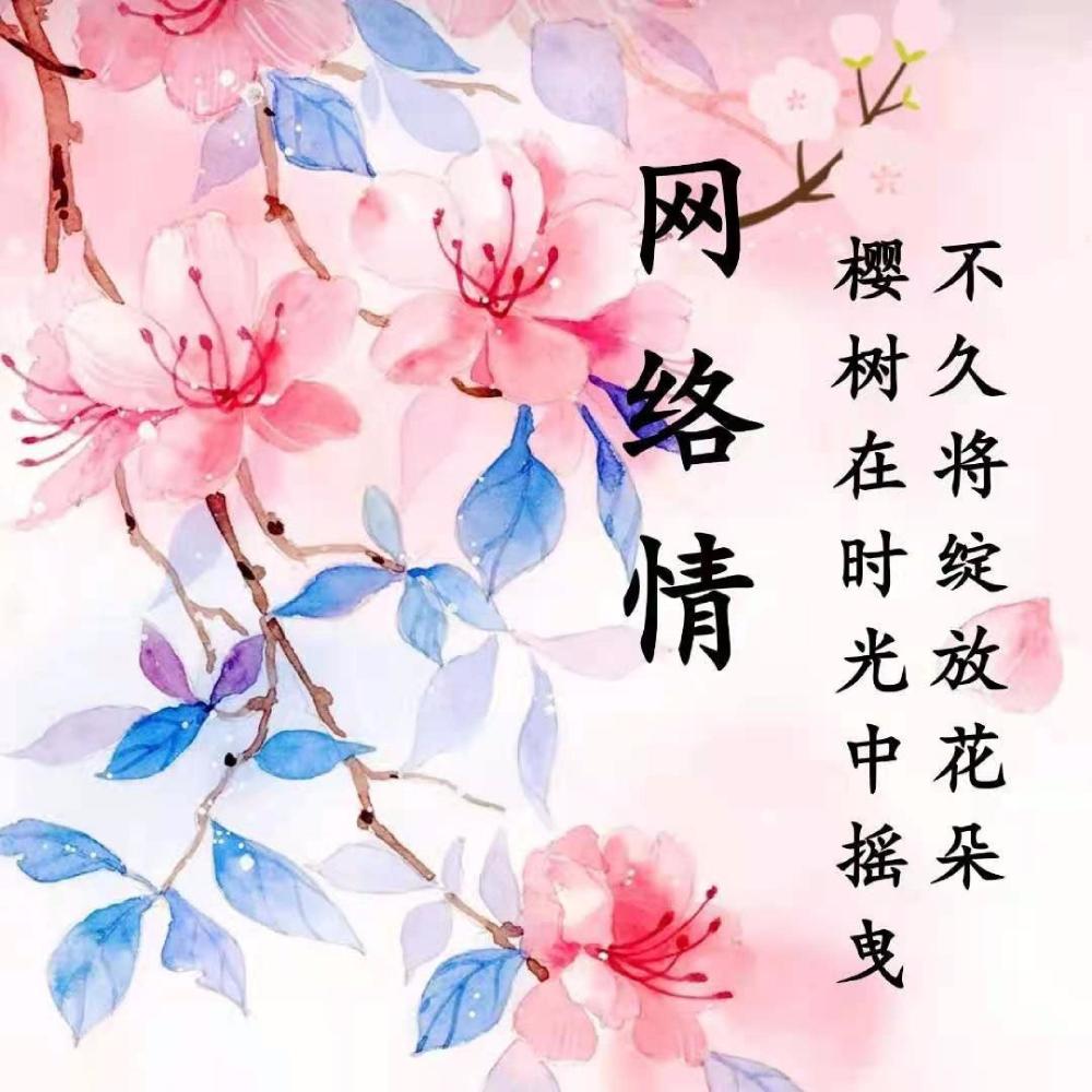 网络情 (伴奏)
