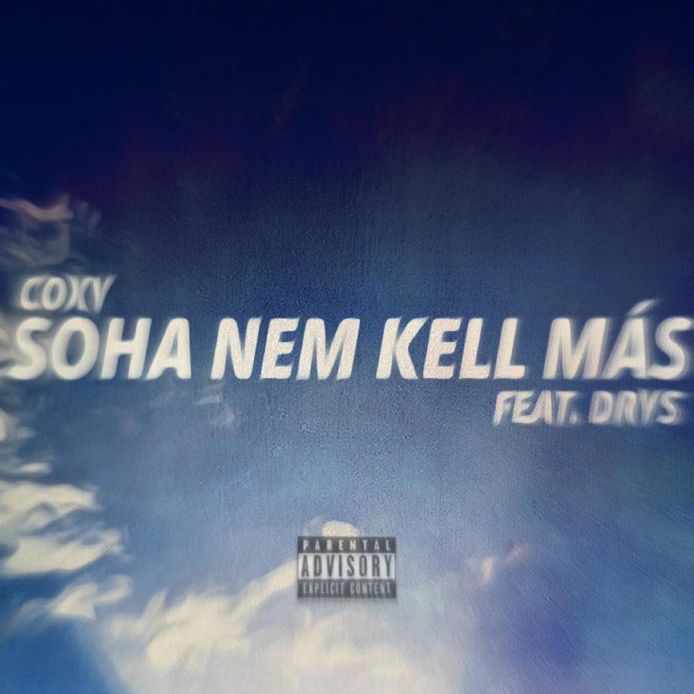 Soha Nem Kell Más (feat. Drys) (Explicit)