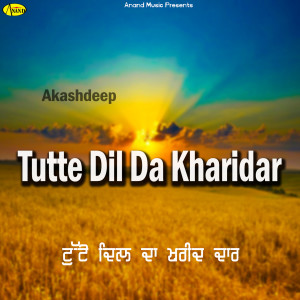 Listen to Mur Ja Ni Beganiye song with lyrics from Akashdeep