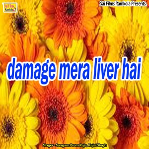 Dengarkan damage mera liver hai lagu dari Sangam Prem Raja dengan lirik