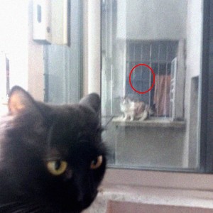 收聽Concret的Mauzan歌詞歌曲