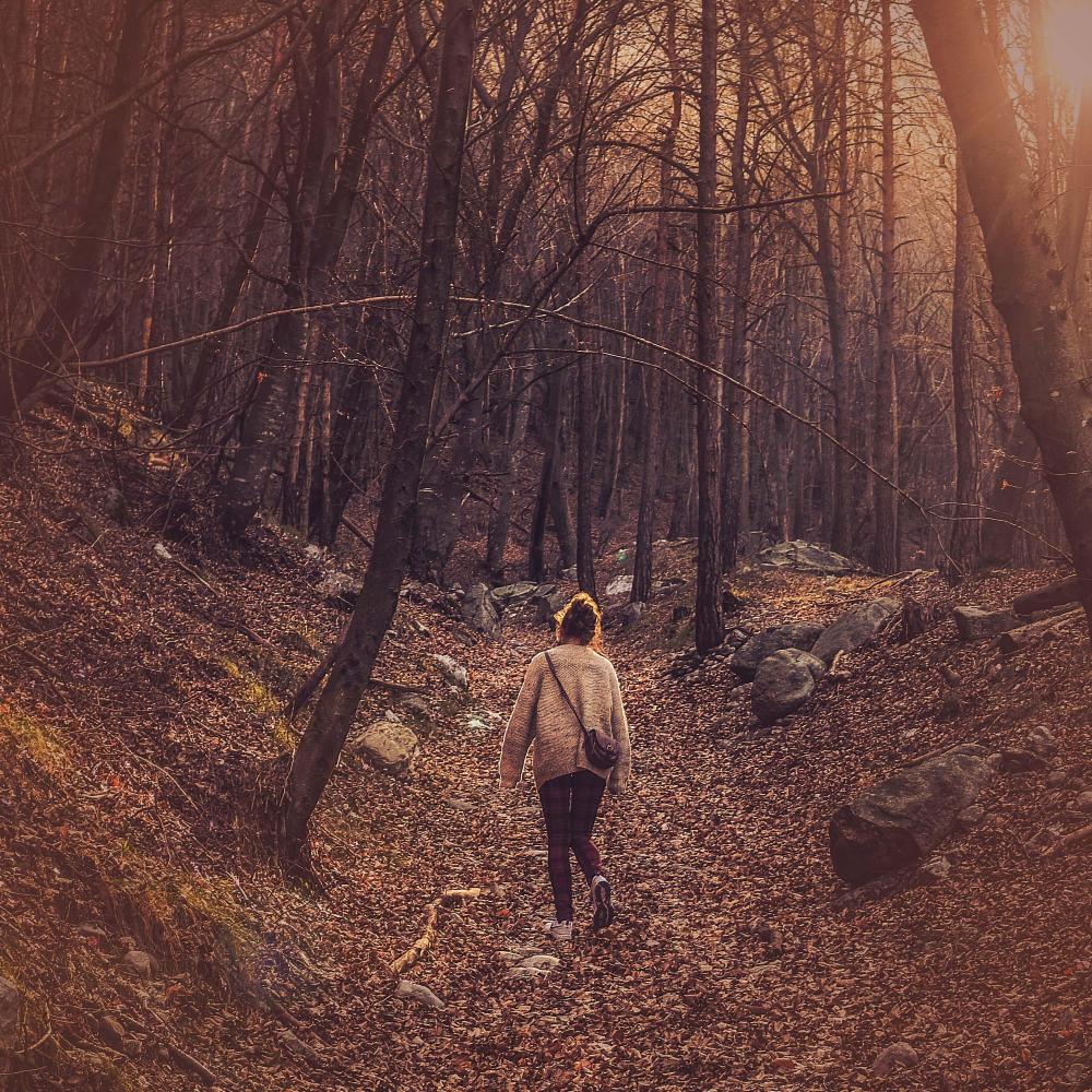 Relaxing Walk Through Forest Sounds for Stress Relief and Insomnia Cure