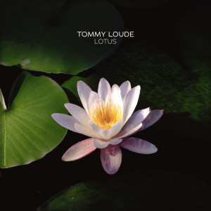 收聽Tommy Loude的Lotus (Extended Mix)歌詞歌曲