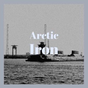 Album Arctic Iron from Various