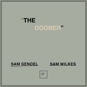 Album The Doober from Sam Gendel