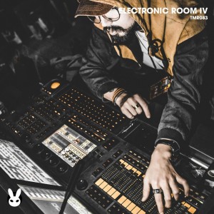 Electronic Room IV dari Various Artists