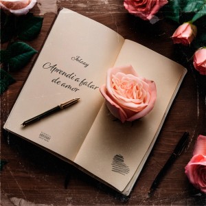 julaay的专辑Aprendi a Falar de Amor (Explicit)