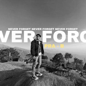 Listen to Never Forget song with lyrics from PRA-B