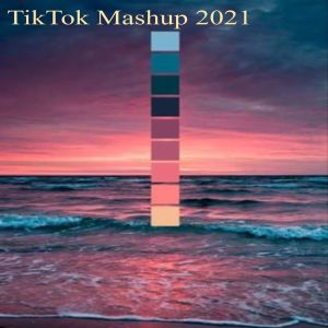 Album TikTok Mashup 2021 from Dj Perreo Mix