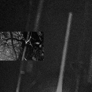 收聽Slikback的ARMADA歌詞歌曲