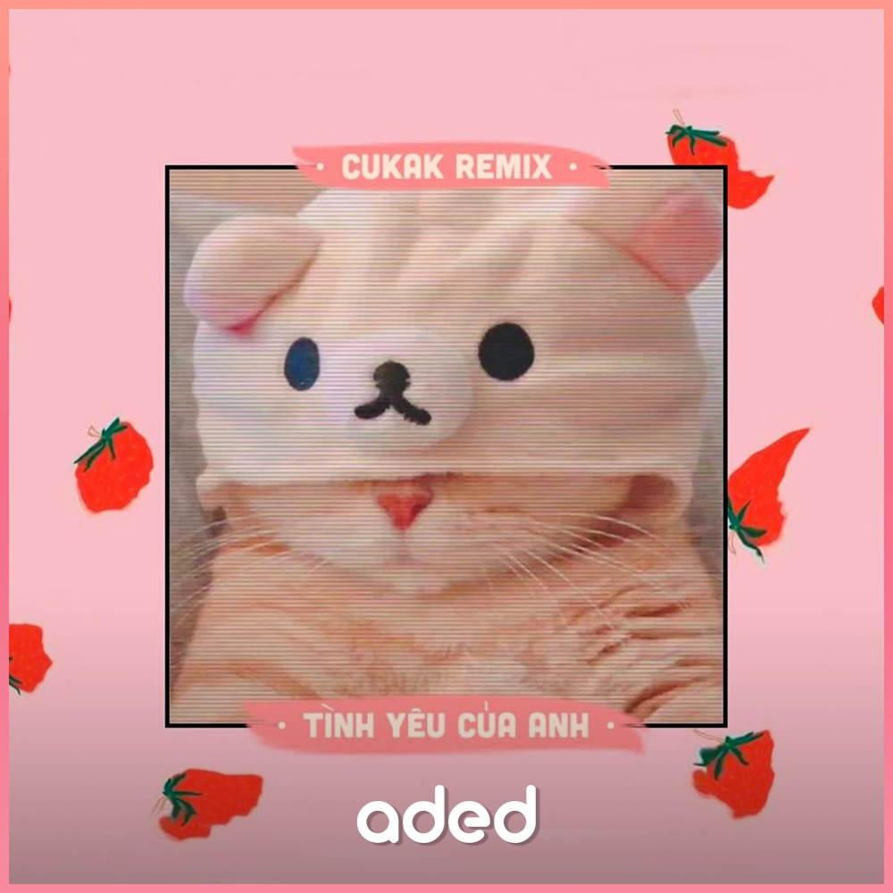 Tình Yêu Của Anh (Cukak Remix)