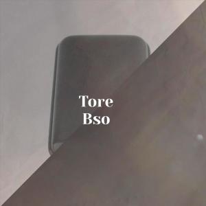 Various的专辑Tore Bso