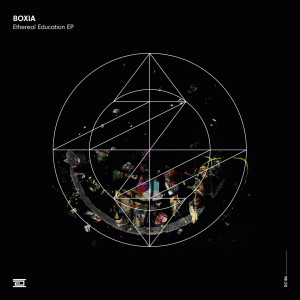 ดาวน์โหลดและฟังเพลง Only Human พร้อมเนื้อเพลงจาก Boxia