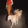 default album img