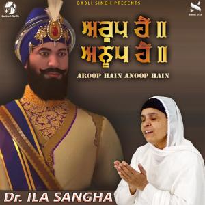 Album Aroop Hai Anoop Hai from Dr. ILA Sangha