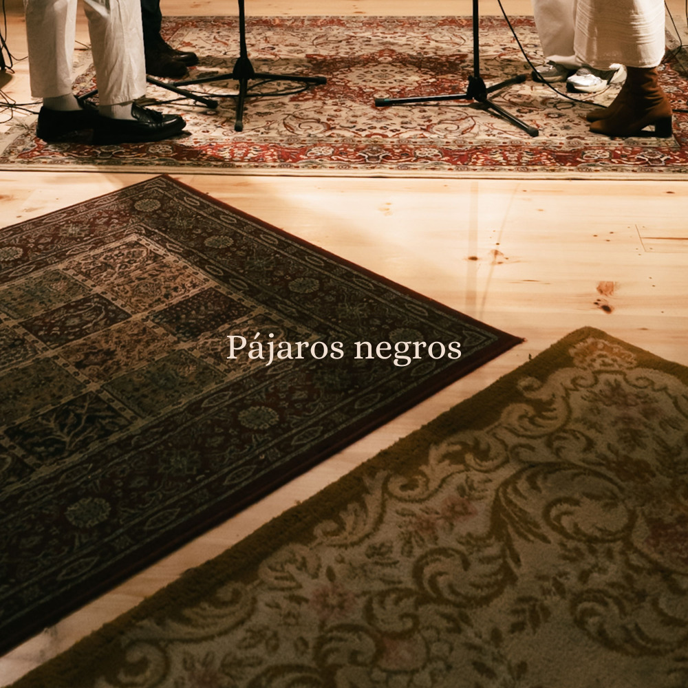 Pájaros negros