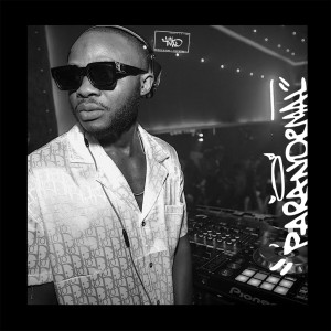 Listen to Paranormal x3 song with lyrics from Paranormal Dj