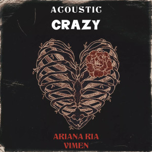 Listen to Crazy (Acoustic Version) song with lyrics from Vimen