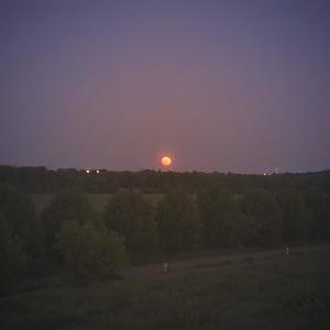 Chris George的专辑Through the Night
