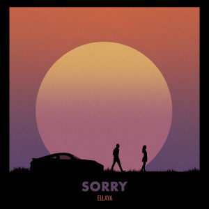 Album Sorry from 