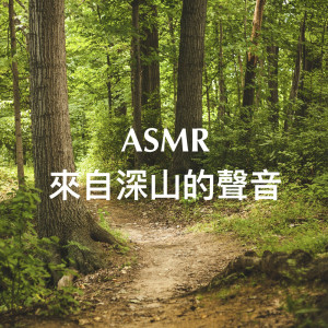收聽艾米希瑜珈之音的柔和 (feat. Yoga Featured Music & เพลงโยคะ)歌詞歌曲