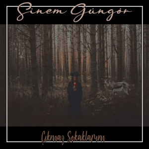 Listen to Çıkmaz Sokaklarım song with lyrics from Sinem Güngör