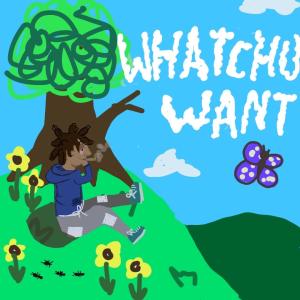Album Whatchu Want (feat. 2tall the Prodigee & Soul.Drumz) (Explicit) from $PADE
