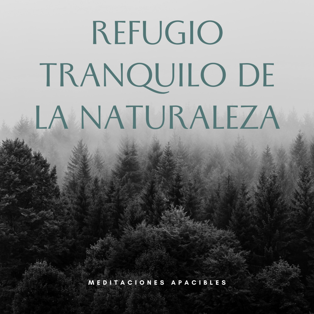 Lugar De Serenidad Sagrada