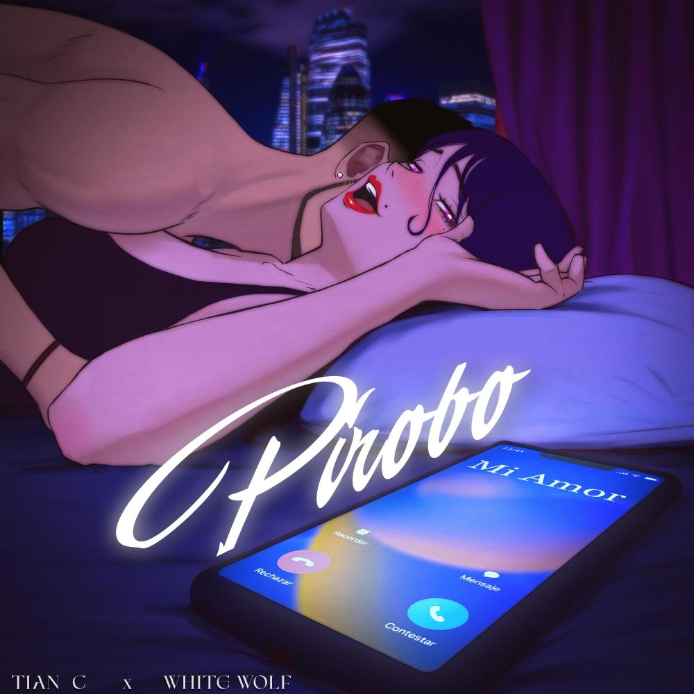 PIROBO (Explicit)