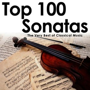 收聽Darko Petrinjak的Sonata for Arpeggione and Piano in A Minor, D. 821: III. Allegretto歌詞歌曲