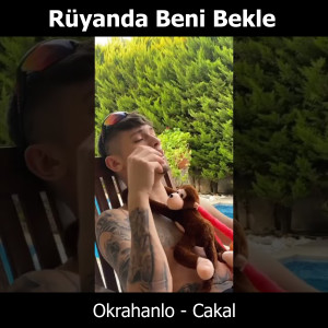 Listen to Rüyanda Beni Bekle song with lyrics from Okrahanlo