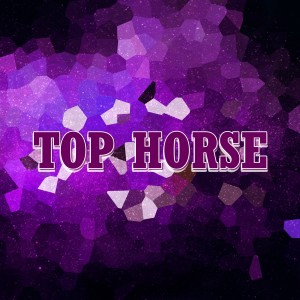 Listen to Top Horse song with lyrics from Henrique Cerqueira