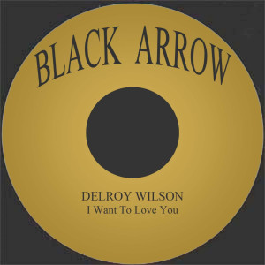收聽Delroy Wilson的I Want To Love You (Original Mix)歌詞歌曲