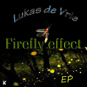 Album FIREFLY EFFECT from Lukas De Vrie