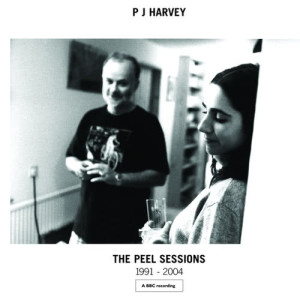 收聽PJ Harvey的Snake (Peel 5.9.96)歌詞歌曲