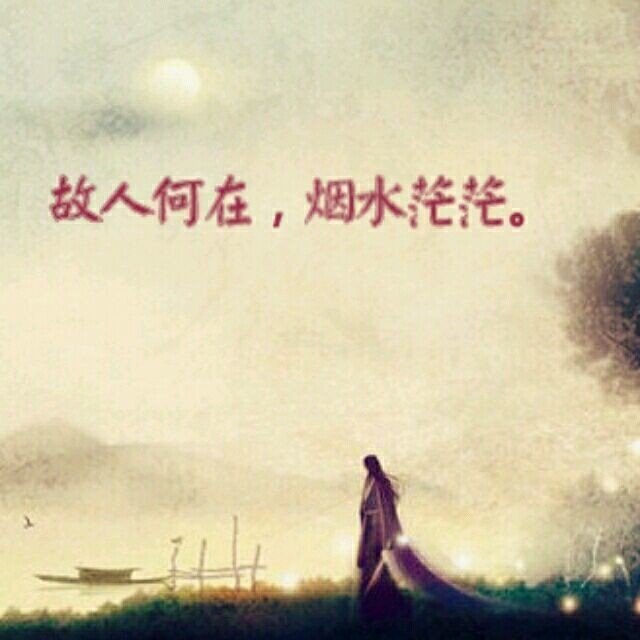 疏桐寂影