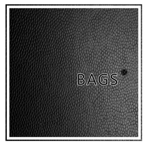 Lalcko的专辑Bags (Explicit)