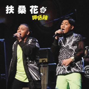 收聽扶桑花的呷呸辣歌詞歌曲