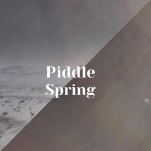 Listen to Grill song with lyrics from Ande Sush